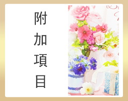 附加項目